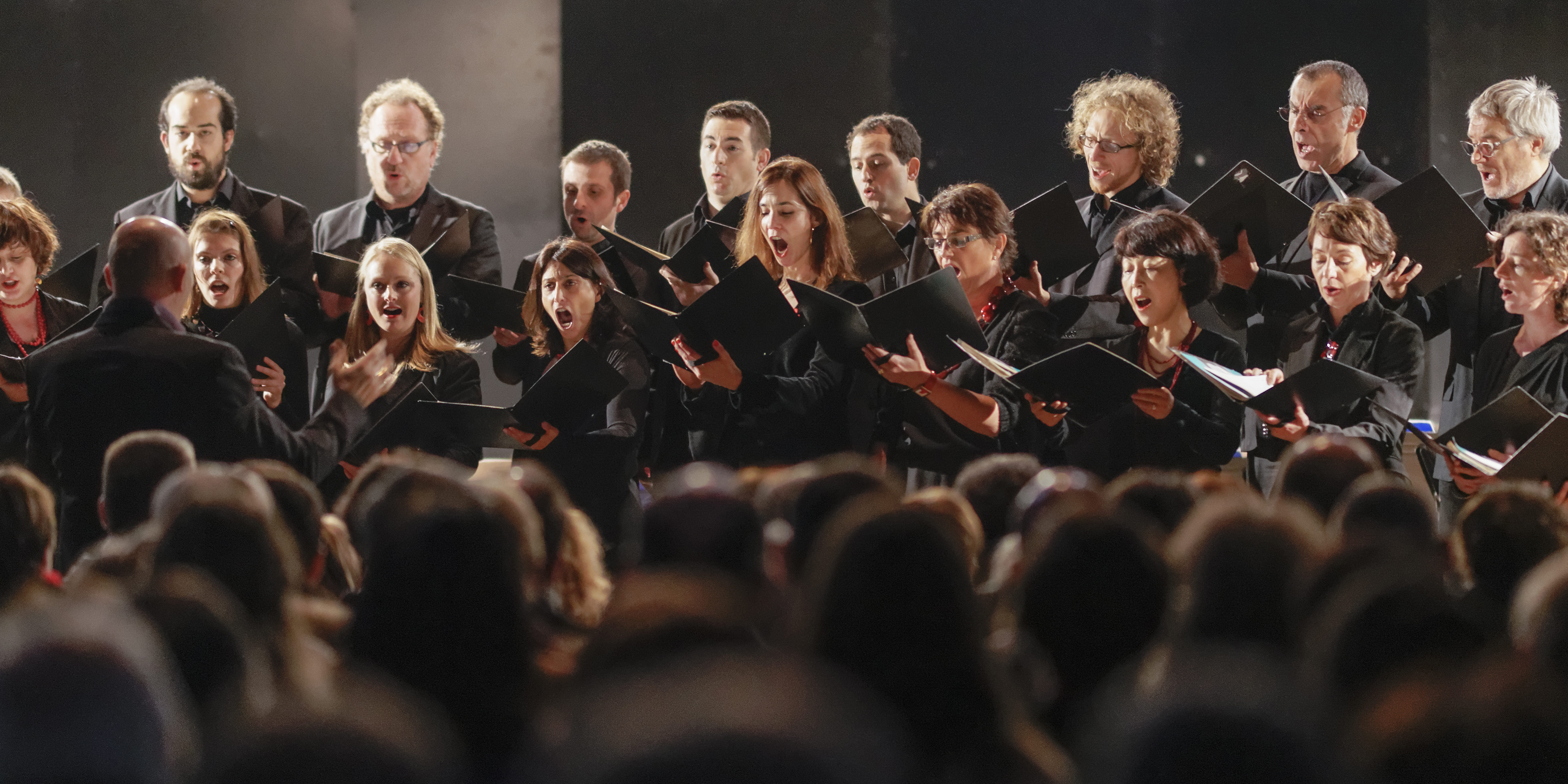 Stella Montis Stella Montis