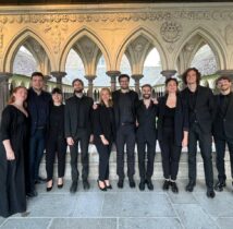 Dulci Jubilo Luminous night credit Emily Rémy